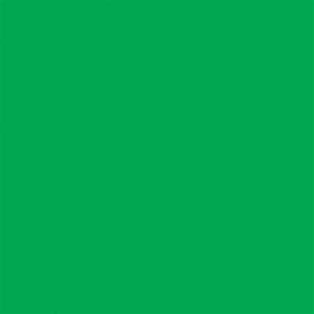 Feuilles de cire 200 x 100 mm - Vert