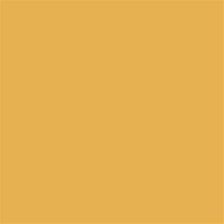 Feuilles de cire 200 x 100 mm - Or