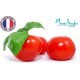 Parfum pour bougies Tomate & Basilic