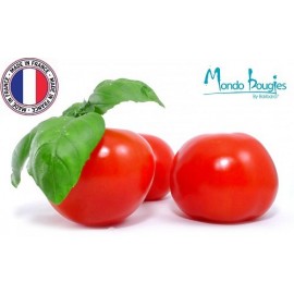 Parfum pour bougies Tomate & Basilic