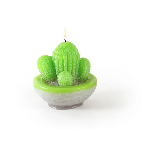 Moule pour bougies en latex Cactus