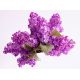 Parfum pour bougies Lilas