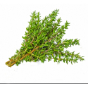 Parfum pour bougies Thym Sauvage
