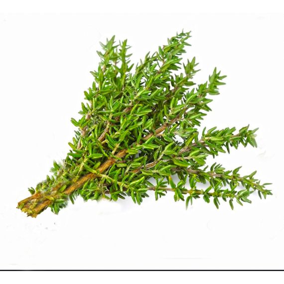 Parfum pour bougies Thym Sauvage