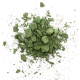 Colorant pour bougies en grains Vert Olive 500 g