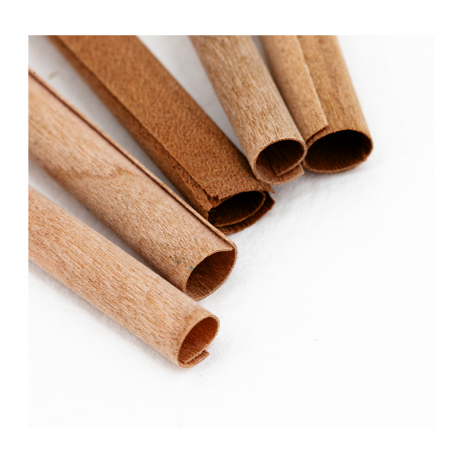 Mèches rondes en bois PM avec socle