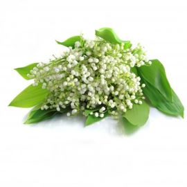 Parfum Muguet pour Bougies