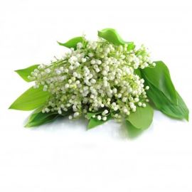 Parfum pour bougies Muguet