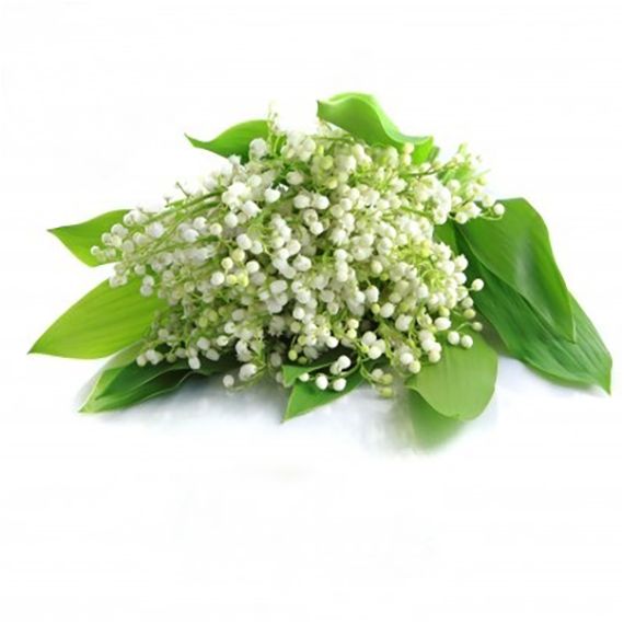 Parfum pour bougies Muguet