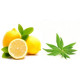 Parfum pour bougies Citron & Verveine