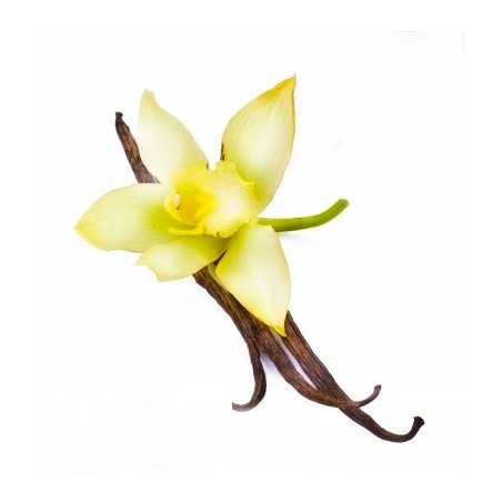 Parfum pour bougies Vanille