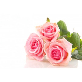 Parfum Rose pour Bougies
