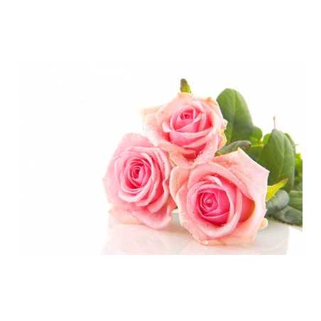 Parfum pour bougies Roses