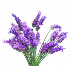 Parfum Violette pour Bougies