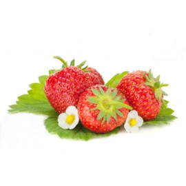 Parfum Fraise pour Bougies