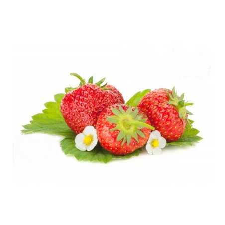 Parfum pour bougies Fraise