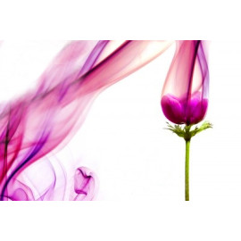 Parfum Patchouli pour Bougies