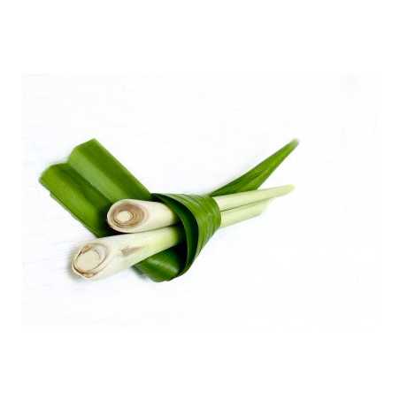 Parfum pour bougies Citronnelle