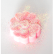 Paillettes brillantes - Nacre