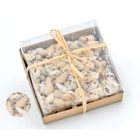 Assortiment de coquillages N.2 - 100 g
