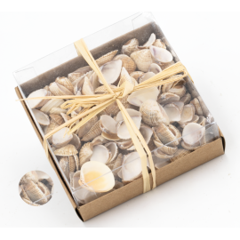 Coquillages pour Décoration de bougies N.1 - 110 g