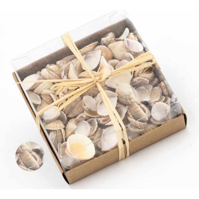 Assortiment de coquillages 80 g