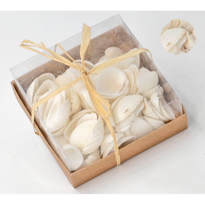 Assortiment de coquillages N.3 - 110 g