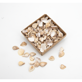 Assortiment de coquillages 80 g