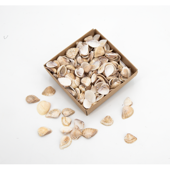 Assortiment de coquillages 80 g