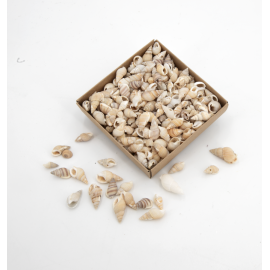 Assortiment de coquillages N.2 - 100 g