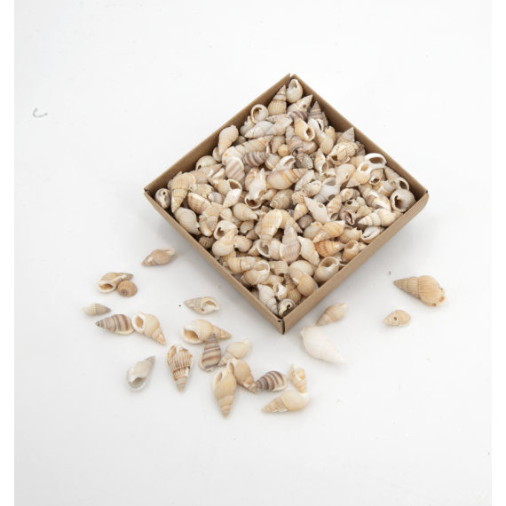 Assortiment de coquillages N.2 - 100 g