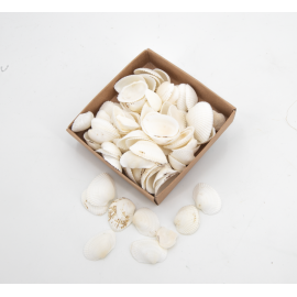 Assortiment de coquillages N.3 - 110 g