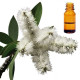 Huile Essentielle Niaouli de Madagascar 250 ml