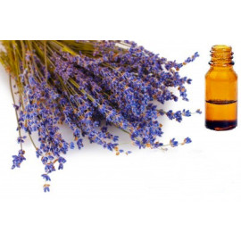 Huile Essentielle Lavande de Moldavie 15 ml