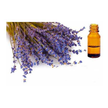 Huile Essentielle Lavande de Moldavie 15 ml