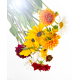 Parfum pour bougies Mille-fleurs