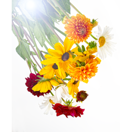 Parfum Mille-Fleurs pour Bougies