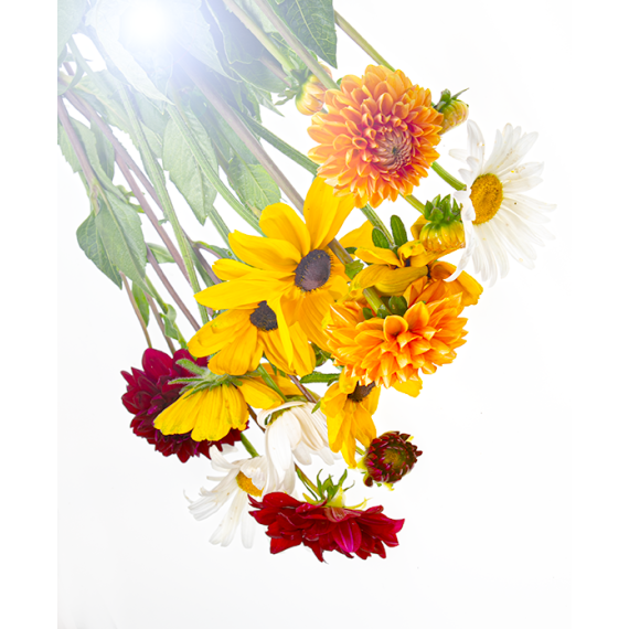 Parfum pour bougies Mille-fleurs