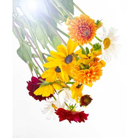 Parfum pour bougies Mille-fleurs