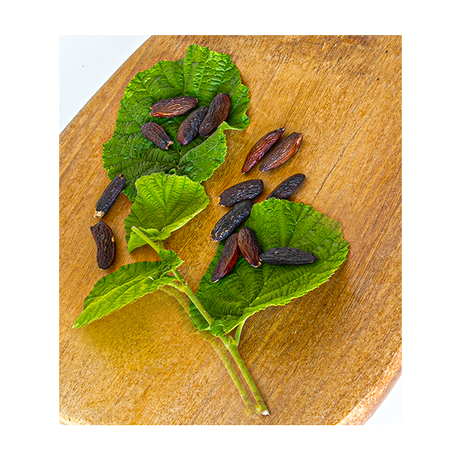 Parfum pour bougies Fèves de Tonka