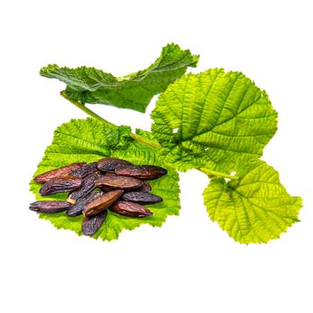 Parfum pour bougies Fèves de Tonka