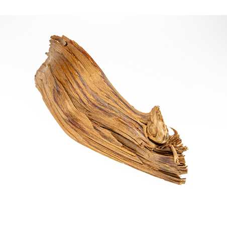 Parfum pour bougies Cèdre