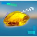 Parfum Ambre pour Bougies
