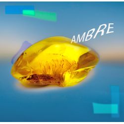 Parfum Ambre pour Bougies
