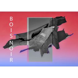 Parfum Bois Noir pour Bougies