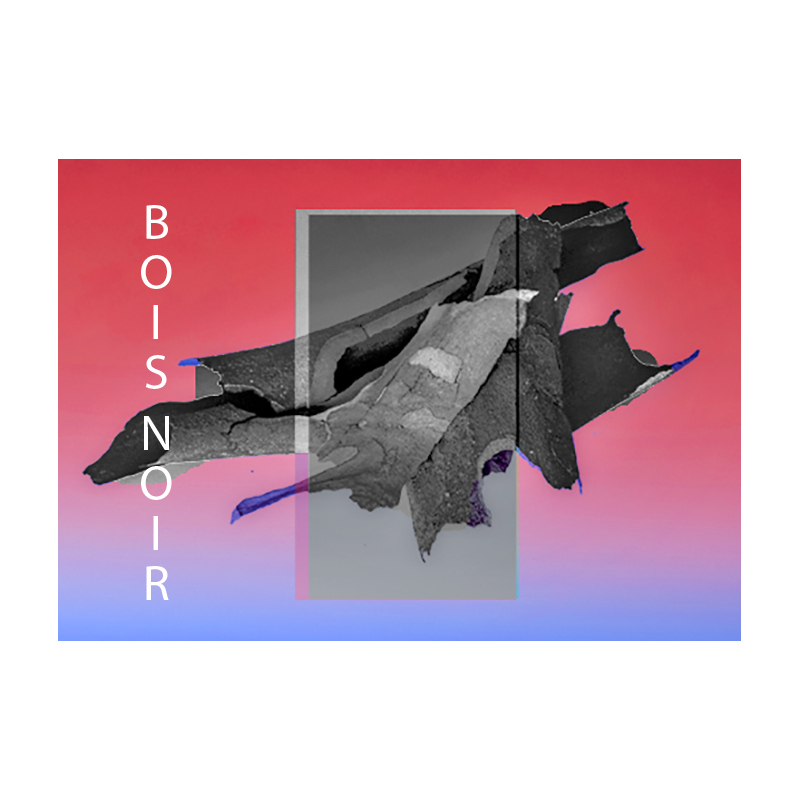 Parfum Bois Noir pour Bougies