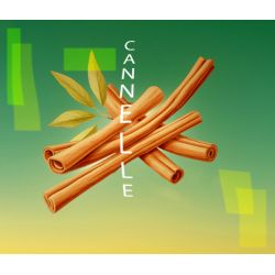 Parfum Cannelle pour Bougies