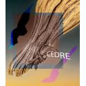 Parfum Cèdre pour Bougies