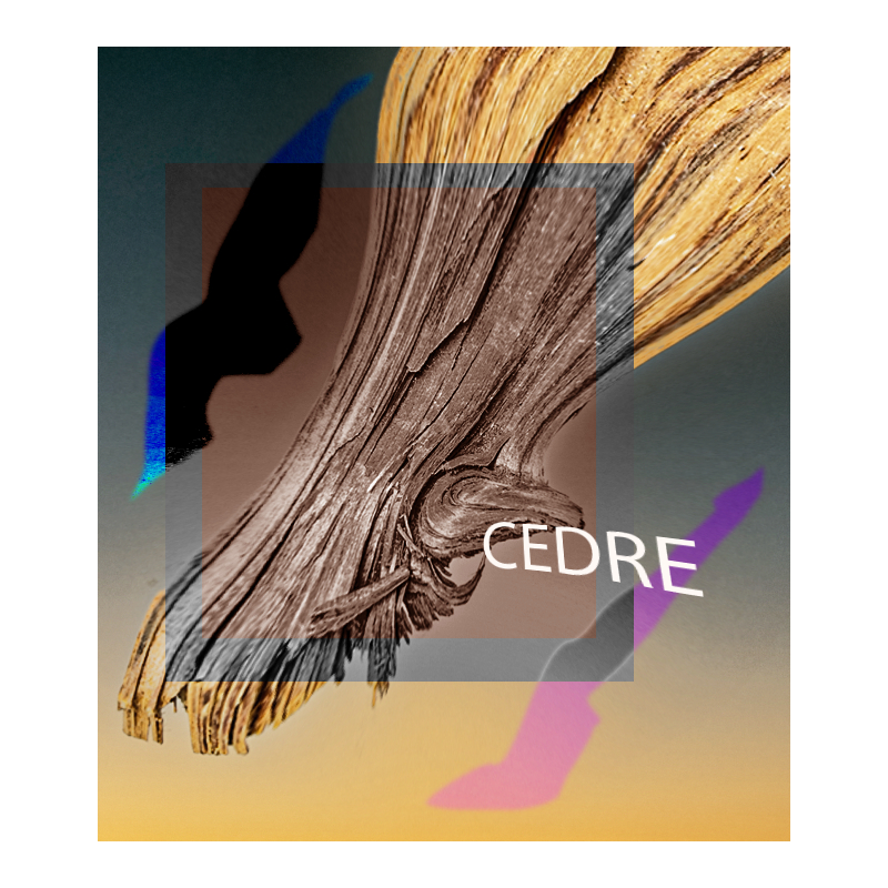 Parfum Cèdre pour Bougies