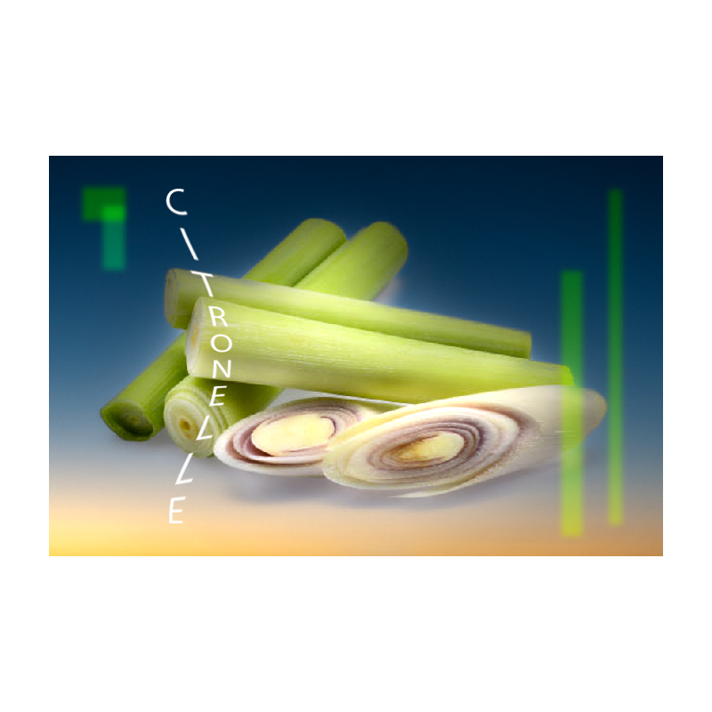 Parfum Citronnelle pour Bougies